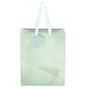 Green Medium Printed Gift Bag